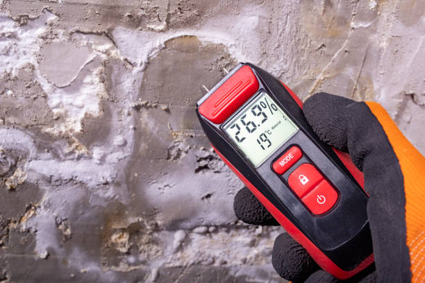 Best Water Damage Restoration  in Canton, NC